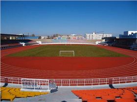 傳統(tǒng)塑膠跑道 金潤著色劑