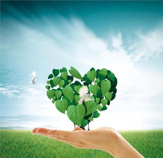 低碳環(huán)保 金潤彩色密封固化地坪